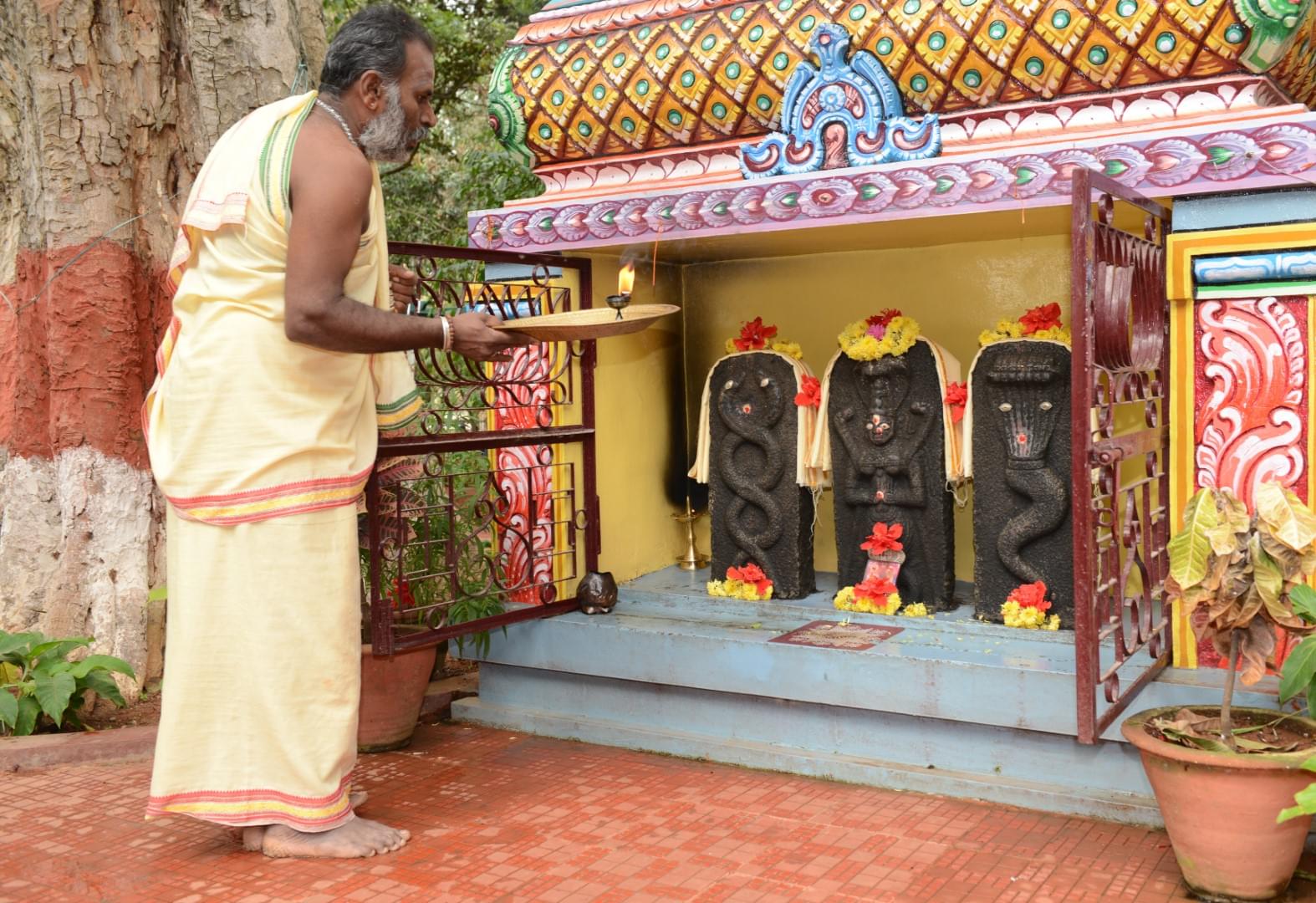 NITTE College of Pharmaceutical Sciences Bangalore Campus & Facilities photo 19